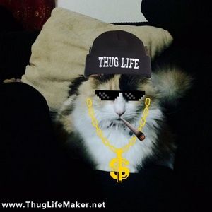 Meet your Posher, Akshyata